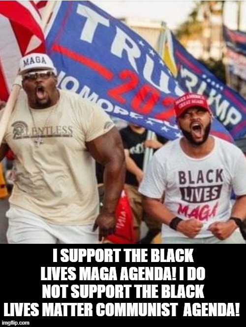 Black Lives MAGA! | I SUPPORT THE BLACK LIVES MAGA AGENDA! I DO NOT SUPPORT THE BLACK LIVES MATTER COMMUNIST  AGENDA! | image tagged in trump,blm | made w/ Imgflip meme maker