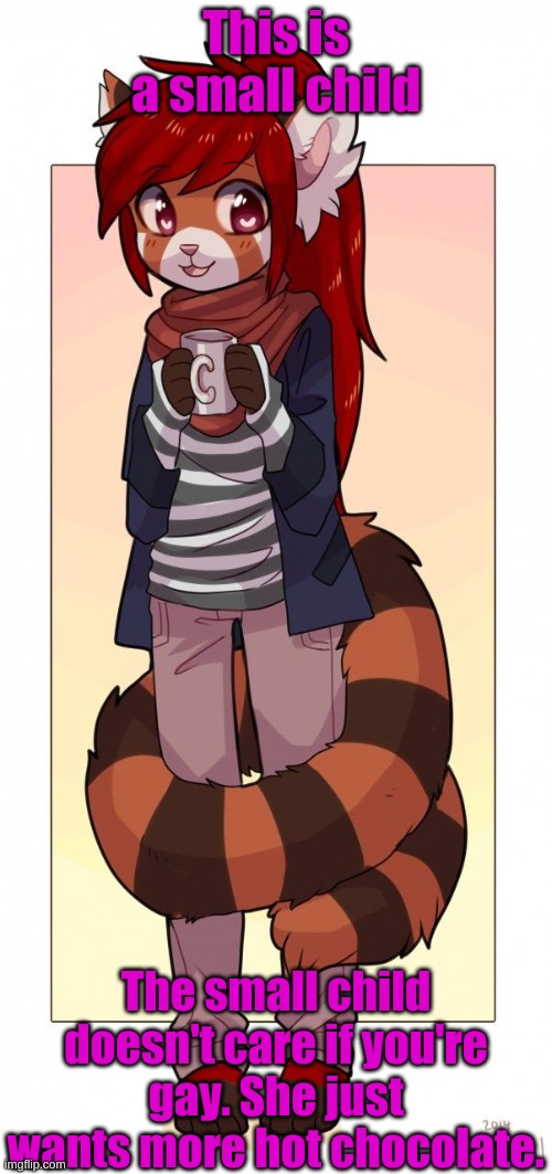 <3 | This is a small child; The small child doesn't care if you're gay. She just wants more hot chocolate. | made w/ Imgflip meme maker
