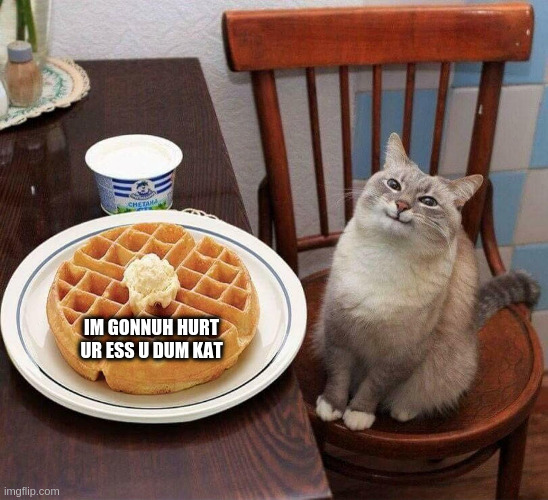Pancake Cat | IM GONNUH HURT UR ESS U DUM KAT | image tagged in pancake cat | made w/ Imgflip meme maker
