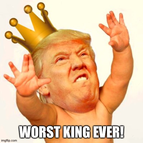 Baby trump king | WORST KING EVER! | image tagged in baby trump king | made w/ Imgflip meme maker