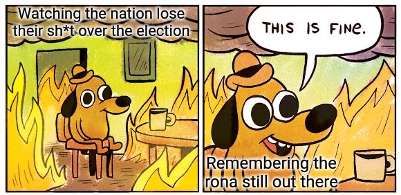 When I turn on the TV... | Watching the nation lose their sh*t over the election; Remembering the rona still out there | image tagged in memes,this is fine | made w/ Imgflip meme maker