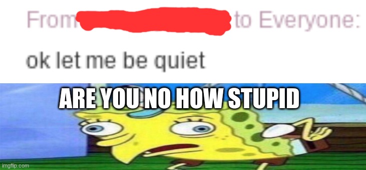 How do you let someone be quiet | ARE YOU NO HOW STUPID | image tagged in stupid | made w/ Imgflip meme maker