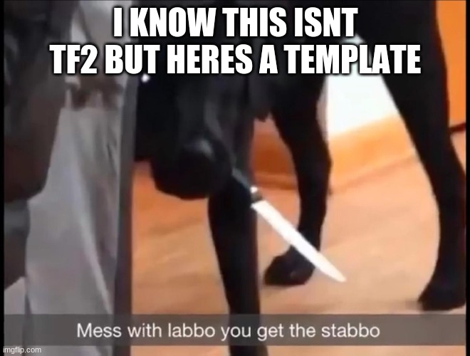 a template | I KNOW THIS ISNT TF2 BUT HERES A TEMPLATE | image tagged in mess with labbo you get stabbo | made w/ Imgflip meme maker