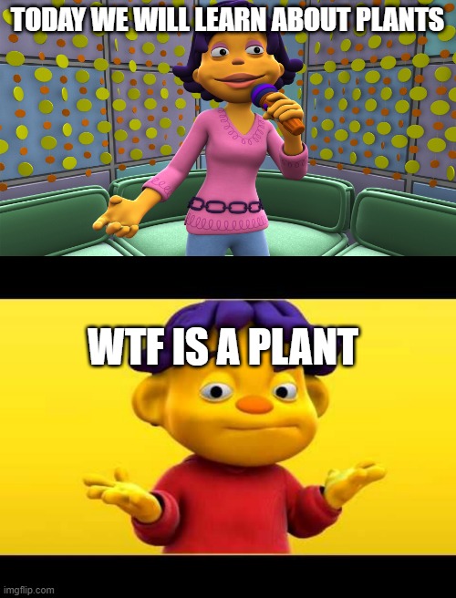plants | TODAY WE WILL LEARN ABOUT PLANTS; WTF IS A PLANT | image tagged in plants | made w/ Imgflip meme maker