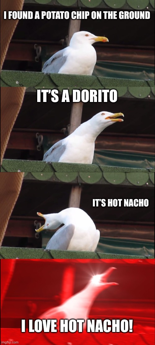 Stupid | I FOUND A POTATO CHIP ON THE GROUND; IT’S A DORITO; IT’S HOT NACHO; I LOVE HOT NACHO! | image tagged in memes,inhaling seagull,doritos,chips | made w/ Imgflip meme maker