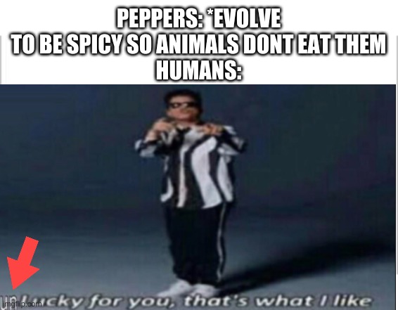 PEPPERS: *EVOLVE TO BE SPICY SO ANIMALS DONT EAT THEM
HUMANS: | image tagged in white background | made w/ Imgflip meme maker