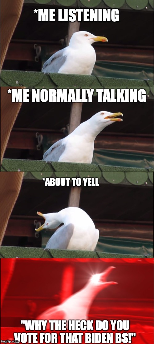 My Life! | *ME LISTENING; *ME NORMALLY TALKING; *ABOUT TO YELL; "WHY THE HECK DO YOU VOTE FOR THAT BIDEN BS!" | image tagged in memes,inhaling seagull | made w/ Imgflip meme maker
