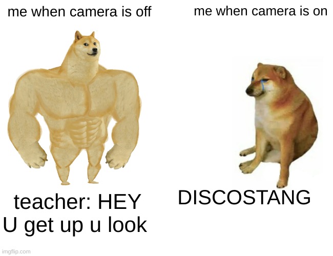 Buff Doge vs. Cheems | me when camera is off; me when camera is on; DISCOSTANG; teacher: HEY U get up u look | image tagged in memes,buff doge vs cheems | made w/ Imgflip meme maker