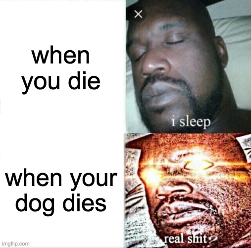 Rest in Peace all dogs | when you die; when your dog dies | image tagged in memes,sleeping shaq | made w/ Imgflip meme maker