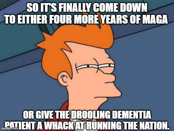Decisions, decisions, decisions: | SO IT'S FINALLY COME DOWN TO EITHER FOUR MORE YEARS OF MAGA; OR GIVE THE DROOLING DEMENTIA PATIENT A WHACK AT RUNNING THE NATION. | image tagged in memes,futurama fry | made w/ Imgflip meme maker