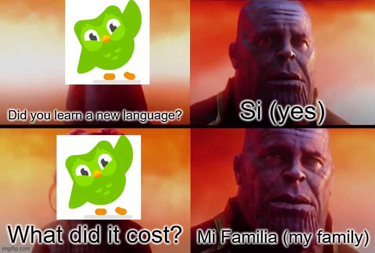 Doulingo did you do it | Did you learn a new language? Si (yes); What did it cost? Mi Familia (my family) | image tagged in thanos what did it cost | made w/ Imgflip meme maker