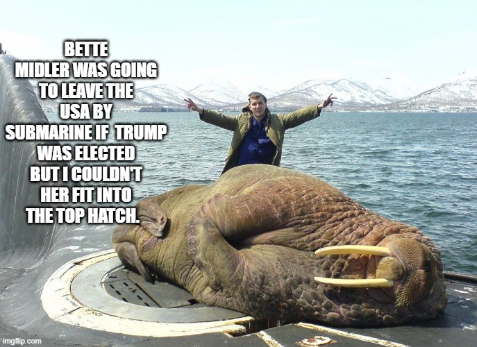 BETTE MIDLER WAS GOING TO LEAVE THE USA BY SUBMARINE IF  TRUMP WAS ELECTED BUT I COULDN'T HER FIT INTO THE TOP HATCH. | image tagged in funny memes | made w/ Imgflip meme maker