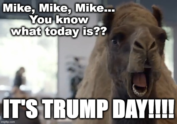 Trump Day | Mike, Mike, Mike...
You know what today is?? IT'S TRUMP DAY!!!! | image tagged in trump,donald trump,camel,vote | made w/ Imgflip meme maker