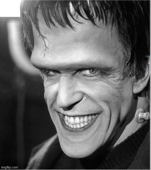 Herman munster | image tagged in herman munster | made w/ Imgflip meme maker