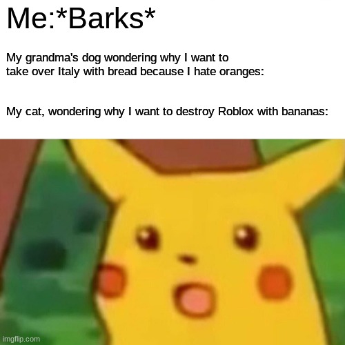 Surprised Pikachu Meme | Me:*Barks*; My grandma's dog wondering why I want to take over Italy with bread because I hate oranges:; My cat, wondering why I want to destroy Roblox with bananas: | image tagged in memes,surprised pikachu | made w/ Imgflip meme maker