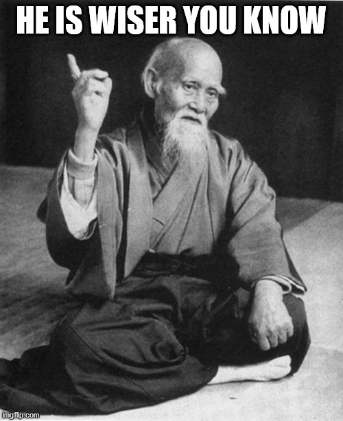 Wise Master | HE IS WISER YOU KNOW | image tagged in wise master | made w/ Imgflip meme maker