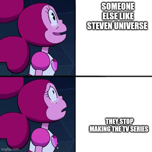 spinel | SOMEONE ELSE LIKE STEVEN UNIVERSE THEY STOP MAKING THE TV SERIES | image tagged in spinel | made w/ Imgflip meme maker