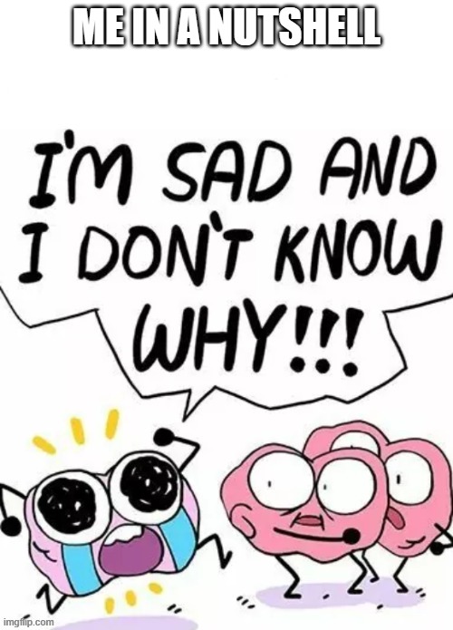 I'm sad and I don't know why | ME IN A NUTSHELL | image tagged in i'm sad and i don't know why | made w/ Imgflip meme maker