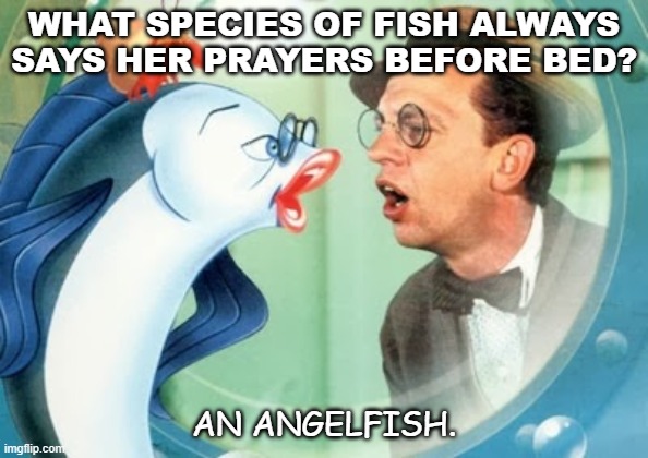 Daily Bad Dad Joke November 3 2020 | WHAT SPECIES OF FISH ALWAYS SAYS HER PRAYERS BEFORE BED? AN ANGELFISH. | image tagged in don knotts | made w/ Imgflip meme maker