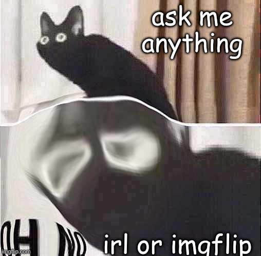 ask me anything; irl or imgflip | made w/ Imgflip meme maker