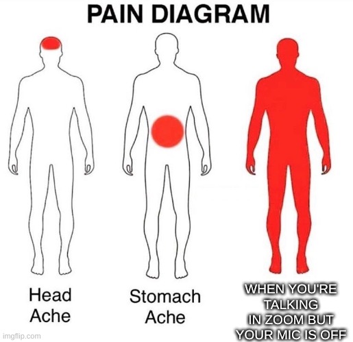 Pain Diagram | WHEN YOU'RE TALKING IN ZOOM BUT YOUR MIC IS OFF | image tagged in pain diagram | made w/ Imgflip meme maker