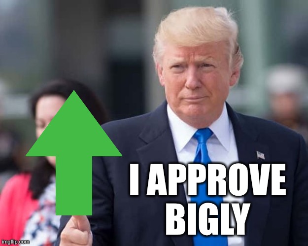 Trump upvote | I APPROVE 
BIGLY | image tagged in trump upvote | made w/ Imgflip meme maker