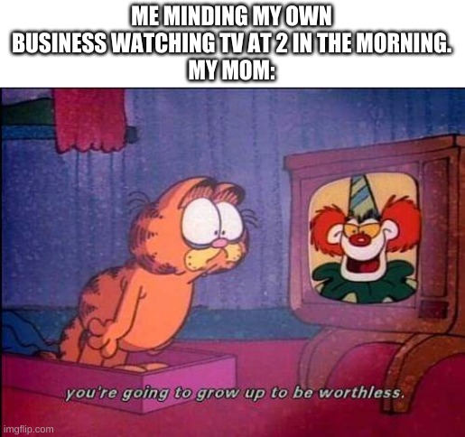 Garfield and binky the clown | ME MINDING MY OWN BUSINESS WATCHING TV AT 2 IN THE MORNING.
MY MOM: | image tagged in garfield and binky the clown | made w/ Imgflip meme maker