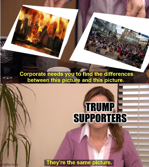 TRUMP SUPPORTERS ARE IDIOTS | TRUMP SUPPORTERS | image tagged in memes,they're the same picture,trump,portland,blm,protesters | made w/ Imgflip meme maker