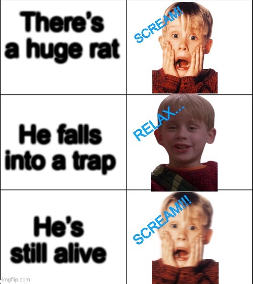 KEVIN’S PANIK KALM PANIK | There’s a huge rat; He falls into a trap; He’s still alive | image tagged in kevin s panik kalm panik | made w/ Imgflip meme maker