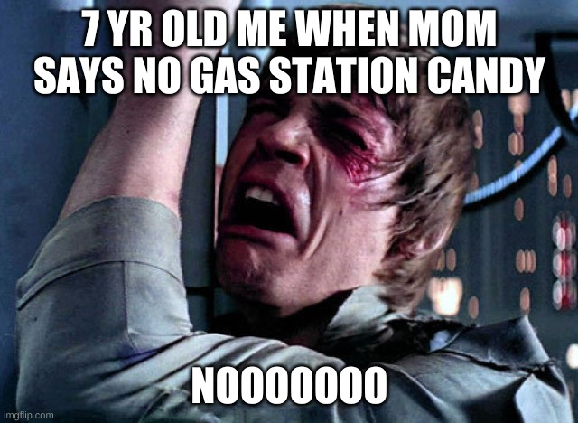 Nooo | 7 YR OLD ME WHEN MOM SAYS NO GAS STATION CANDY; NOOOOOOO | image tagged in nooo | made w/ Imgflip meme maker