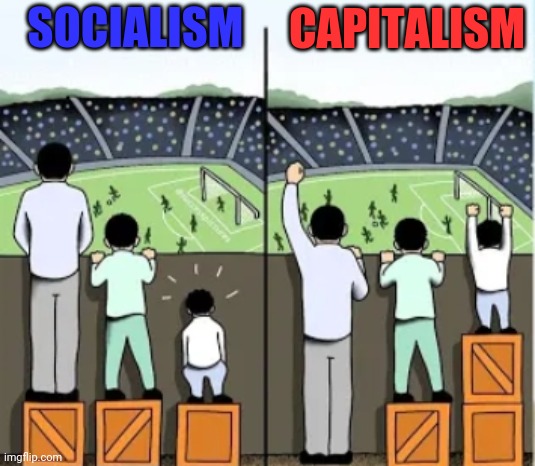 For anyone who needs help... | CAPITALISM; SOCIALISM | image tagged in socialism,capitalism,trump 2020 | made w/ Imgflip meme maker