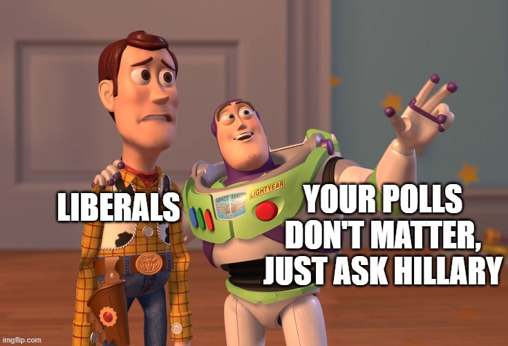 X, X Everywhere Meme | YOUR POLLS DON'T MATTER, JUST ASK HILLARY LIBERALS | image tagged in memes,x x everywhere | made w/ Imgflip meme maker