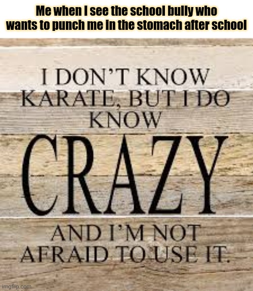 That's me. | Me when I see the school bully who wants to punch me in the stomach after school | image tagged in i don't know karate but i do know crazy and i'm not afraid to,memes,meme,bully,bullies,school | made w/ Imgflip meme maker