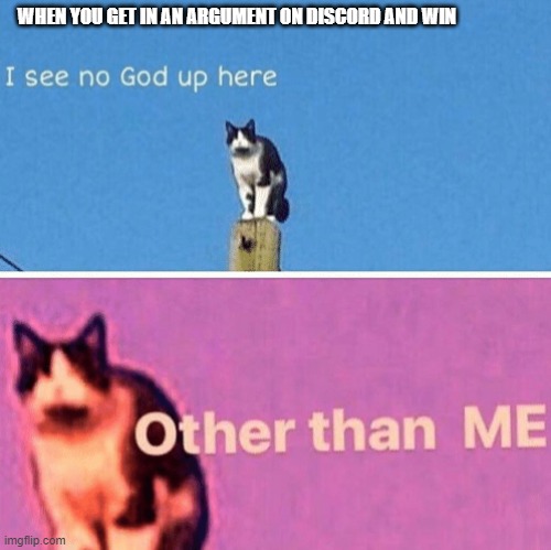 Discord Bois | WHEN YOU GET IN AN ARGUMENT ON DISCORD AND WIN | image tagged in hail pole cat,fun | made w/ Imgflip meme maker