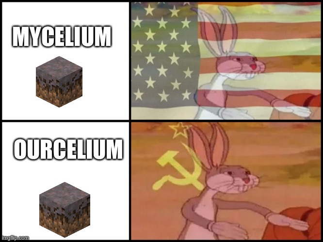 Thers no I in mycelium..........WAIT | MYCELIUM; OURCELIUM | image tagged in capitalist and communist | made w/ Imgflip meme maker