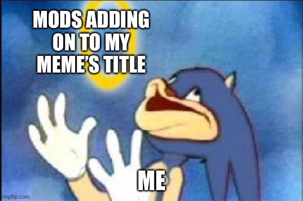 Sonic derp | MODS ADDING ON TO MY MEME’S TITLE ME | image tagged in sonic derp | made w/ Imgflip meme maker