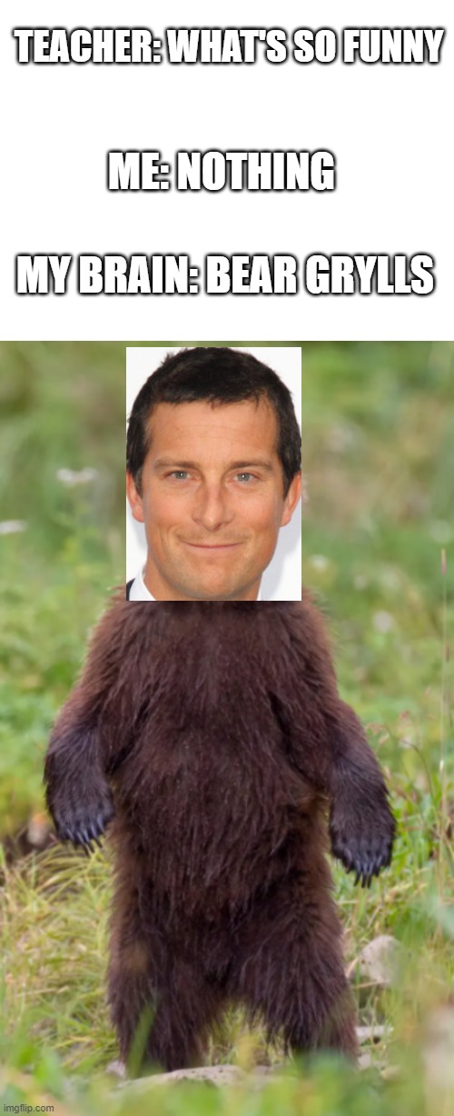 BEAR grylls | TEACHER: WHAT'S SO FUNNY; ME: NOTHING; MY BRAIN: BEAR GRYLLS | image tagged in bear grylls,bear | made w/ Imgflip meme maker