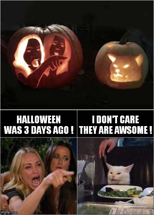 Woman Yelling At Cat Pumpkins | I DON'T CARE THEY ARE AWSOME ! HALLOWEEN WAS 3 DAYS AGO ! | image tagged in memes,woman yelling at cat | made w/ Imgflip meme maker