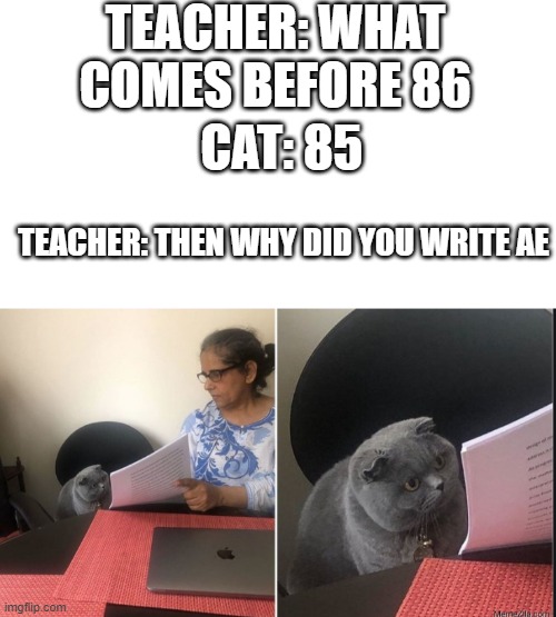Then why did you write | TEACHER: WHAT COMES BEFORE 86; CAT: 85; TEACHER: THEN WHY DID YOU WRITE AE | image tagged in then why did you write,memes | made w/ Imgflip meme maker