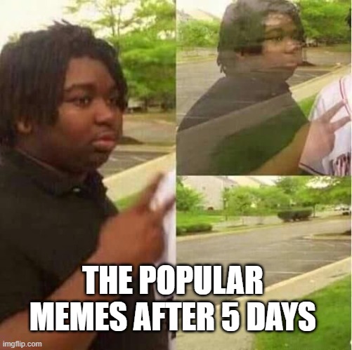 THE POPULAR MEMES AFTER 5 DAYS | image tagged in black guy disappearing,funny memes,memes | made w/ Imgflip meme maker