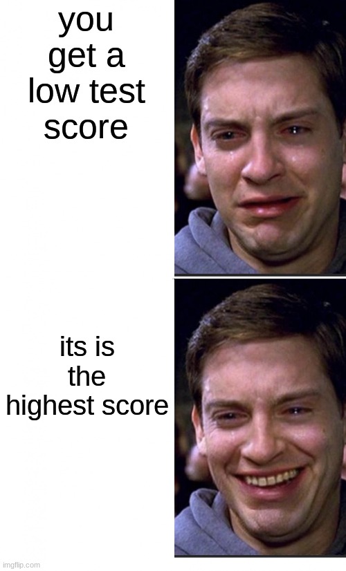 Peter Parker crying/happy | you get a low test score; its is the highest score | image tagged in peter parker crying/happy | made w/ Imgflip meme maker