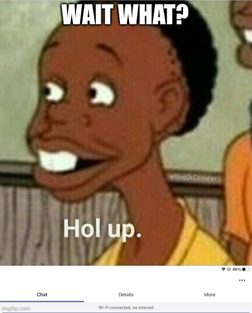 Hol up 2.0 | WAIT WHAT? | image tagged in hol up | made w/ Imgflip meme maker