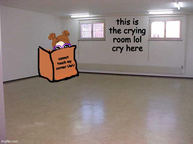 I wont stop you here | this is the crying room lol
cry here; cannot touch my corner UwU | image tagged in empty room | made w/ Imgflip meme maker