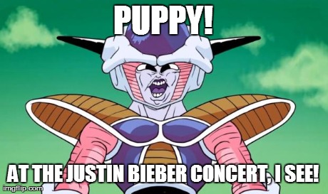 I see Freezypop | PUPPY! AT THE JUSTIN BIEBER CONCERT, I SEE! | image tagged in i see freezypop | made w/ Imgflip meme maker