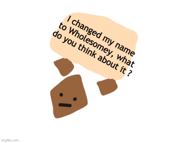 I like This one, its shorter than simple. | I changed my name to Wholesomey, what do you think about it ? | image tagged in wholesome holding a sign | made w/ Imgflip meme maker