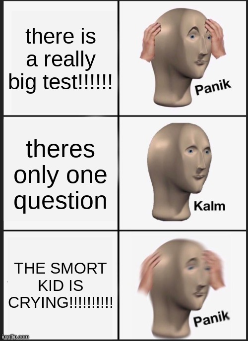 teest | there is a really big test!!!!!! theres only one question; THE SMORT KID IS CRYING!!!!!!!!!! | image tagged in memes,panik kalm panik | made w/ Imgflip meme maker
