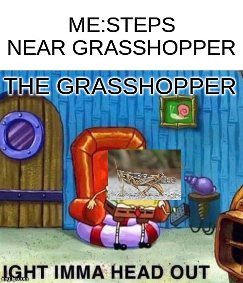 grasshoppers | ME:STEPS NEAR GRASSHOPPER; THE GRASSHOPPER | image tagged in memes,spongebob ight imma head out | made w/ Imgflip meme maker