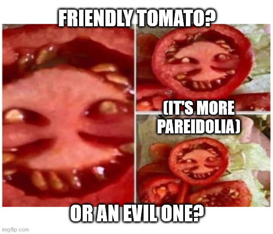 Evil Tomato | FRIENDLY TOMATO? (IT'S MORE PAREIDOLIA); OR AN EVIL ONE? | image tagged in haiku,meme,pareidolia,tomato | made w/ Imgflip meme maker