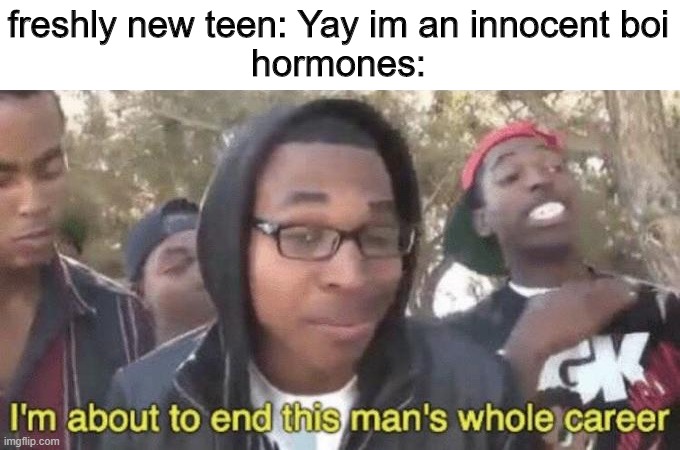 I’m about to end this man’s whole career | freshly new teen: Yay im an innocent boi
hormones: | image tagged in i m about to end this man s whole career | made w/ Imgflip meme maker