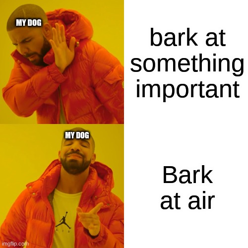 ALWAYS | bark at something important; MY DOG; Bark at air; MY DOG | image tagged in memes,drake hotline bling | made w/ Imgflip meme maker